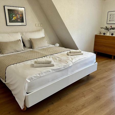 Three Rings Apartments Karlovy Vary Dış mekan fotoğraf