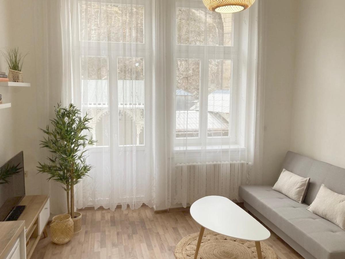 Three Rings Apartments Karlovy Vary Dış mekan fotoğraf
