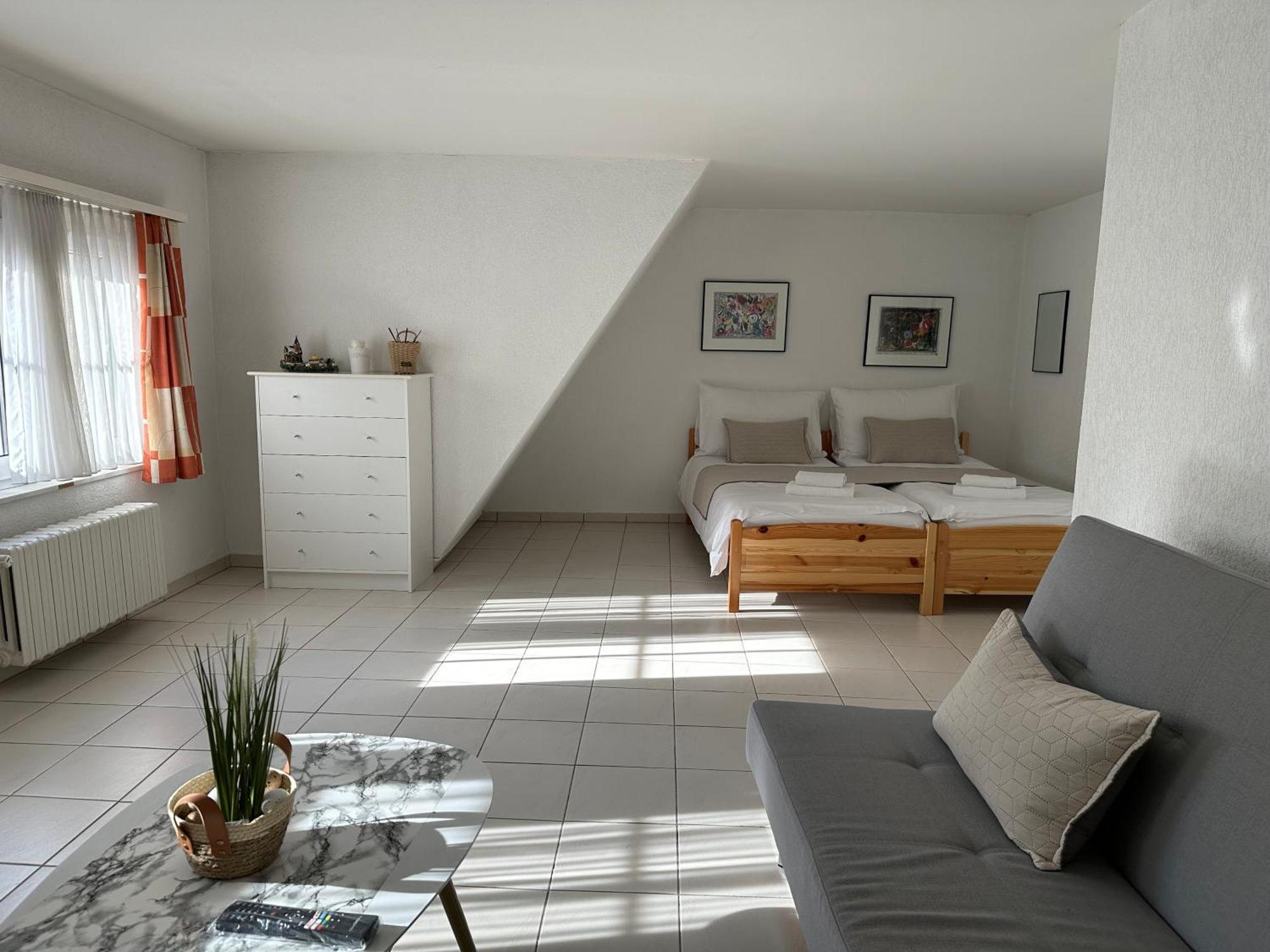 Three Rings Apartments Karlovy Vary Dış mekan fotoğraf